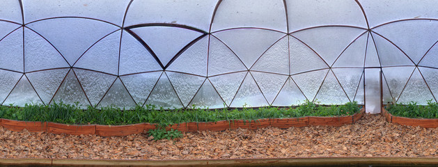 Dome greenhouse