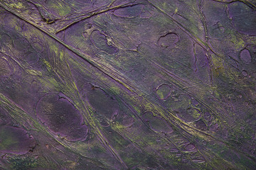 Multicolored textured background