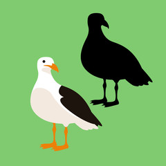 seagull vector illustration style Flat set