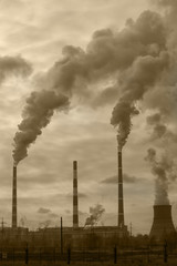 pipe and smoke the plant