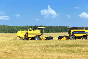 Obraz premium harvest