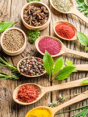 Assortment of colorful spices in the wooden spoons.