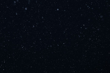 snow on a black background