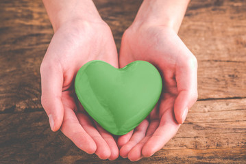 green heart in the hands - eco friendly concept - 141002776