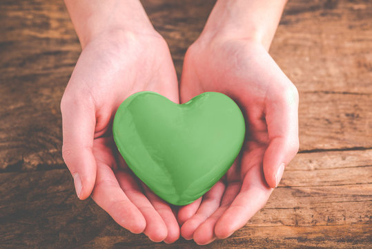 green heart in the hands - eco friendly concept