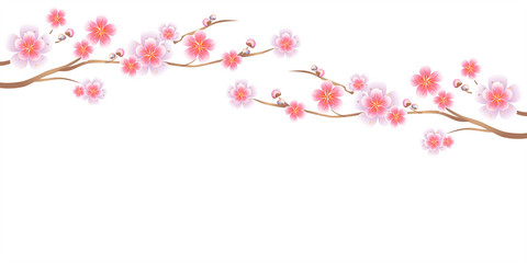 Branches of Sakura isolated on white background. Apple-tree flowers. Cherry blossom. Vector 
