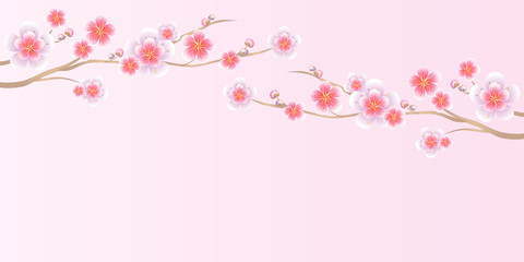 Branches of Sakura isolated on light pink background. Apple-tree flowers. Cherry blossom. Vector 