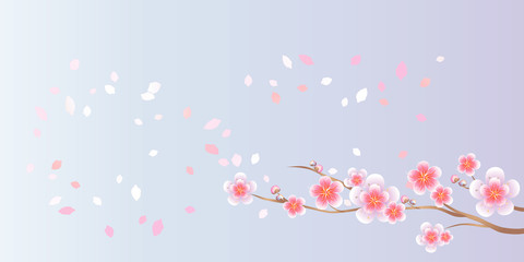 Branch of Sakura and petals flying isolated on light violet background. Apple-tree flowers. Cherry blossom. Vector 

