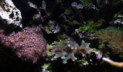 Snapshot of life on earth