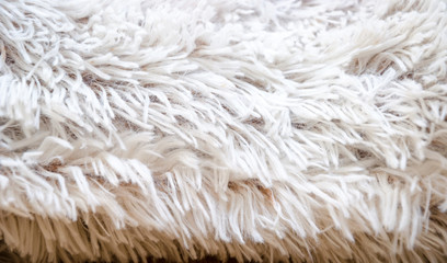 Texture of gray wool