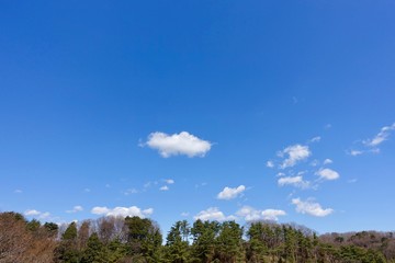 Obraz premium 青空