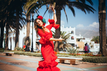flamenco in spain - obrazy, fototapety, plakaty