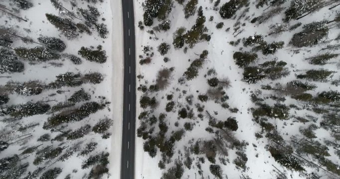 Aerial overhead view of winter forest and asphalt road in high mountains