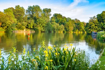 Fotobehang rivier de Theems. Oxford, Engeland © Andrei Nekrassov