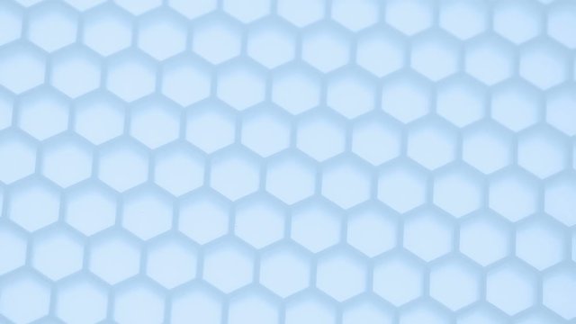  Honey comb. Abstract background. Fragment of honeycomb plastic imitation.
