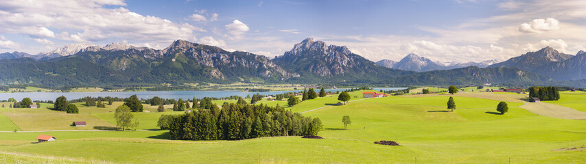 Fototapeta na wymiar Panorama Landschaft mit Frühlingswiese und Forggensee im Allgäu