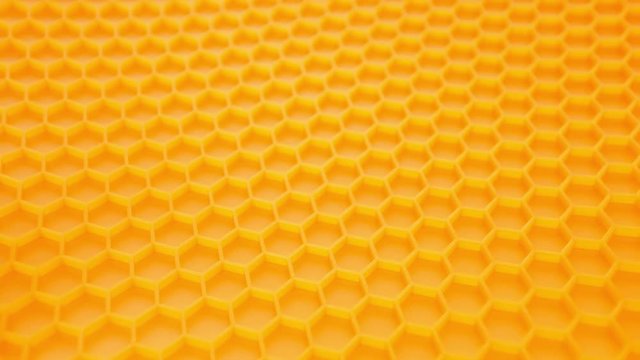 Honey comb. Abstract background. Fragment of honeycomb plastic imitation.
