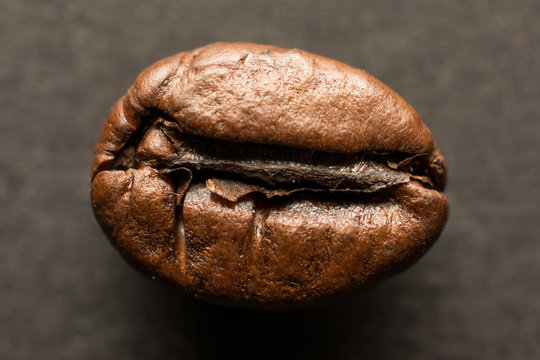 One coffee bean on wooden board, closeup