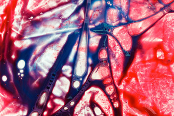 Background of blood in a plastic bag of the donor. Physiological liquids, chemical reagents for...