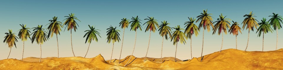 Fototapeta na wymiar Coconut palm trees in a row, coconut grove 