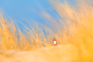 Tower at the Dunes / Small red and white striped lighthouse at the distance surrounded by blurred yellow sand and dune grass, blue sky (copy space)