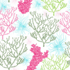 Fototapeta premium Collection of marine plants, corals and seaweed. Vintage seamless pattern with hand drawn marine flora. Vector illustration in line art style.