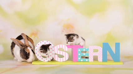 Süße Tiere Ostern