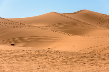 Fototapeta na wymiar Tire impression on a track in the Moroccan desert