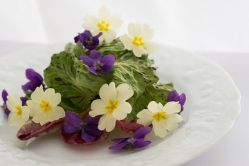 fresh spring salad salad