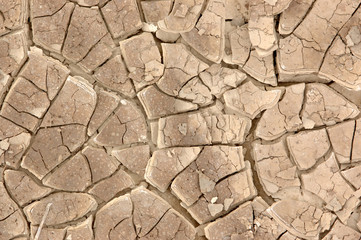 dry earth