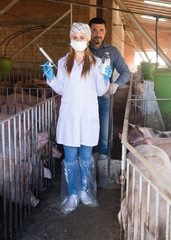 Farmer and veterinarian in pig sty.