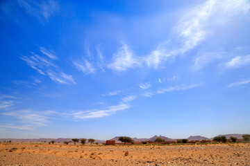 Beautiful Moroccan Mountain landscape with dry shrubs in foreground