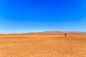 Fototapeta na wymiar Tire impression on a track in the Moroccan desert