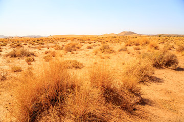 Beautiful Moroccan Mountain landscape with dry shrubs in foreground