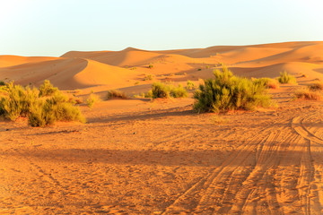 Tire impression on a track in the Moroccan desert