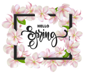 Hello spring background with cherry blossoms, leaves and branches.Greeting card with hand drawn lettering. Vector illustration template, banners,posters, brochure