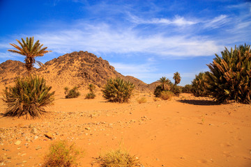 Fototapeta na wymiar Beautiful Moroccan Mountain landscape in desert with oasis
