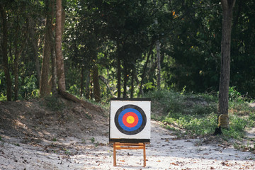 dart arrow hitting on target center of dartboard in the forest