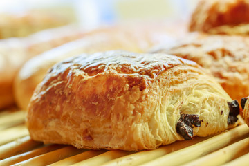 closeup on chocolate bread in french pastry shop