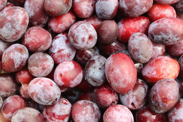 Background blue plum