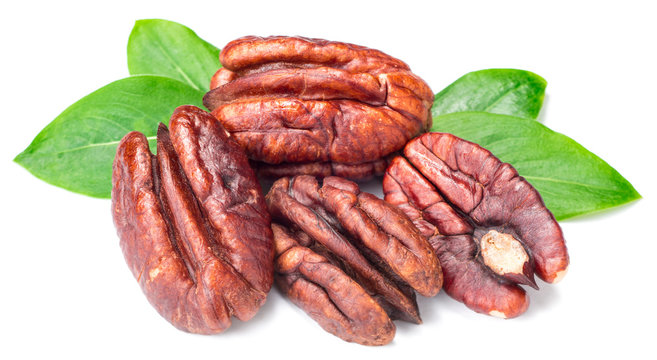 dried pecan fruit on white, with fresh green leaves, (large depth of field, taken with tilt shift lens)