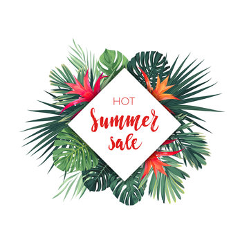 Summer vector floral sale banner. Tropical template design with palm leaves and red guzmania flowers.