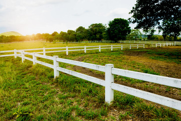 Fototapeta na wymiar White concrete fence in horse farm field