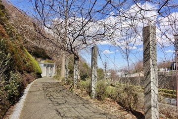 Fototapeta premium 散歩道
