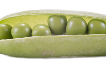 Pods of green peas