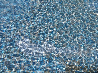 reflections in the pool