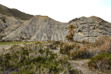 Desierto de Tabernas