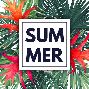 Green botanical summer tropical design with palm leaves and exotic red flowers. Vector floral template.