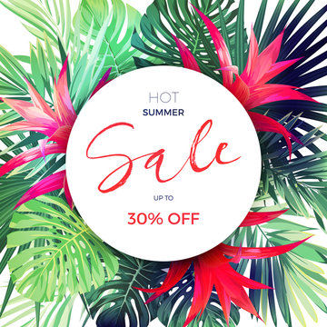 Customizable vector floral design templates for summer sale. Tropical lfyer with exotic plants and red guzmania flowers.
