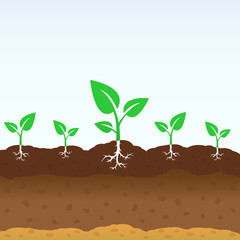 Growing shoots out of the ground. Vector plant growing concept design.